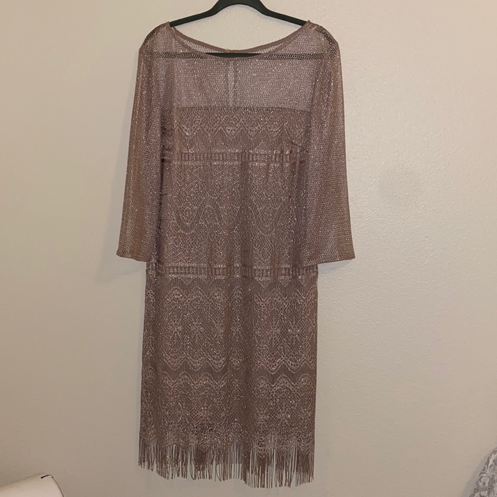 Never worn Shimmery lace fringe dress. SL Fashions